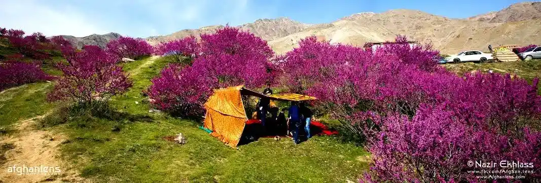 Parwan img 